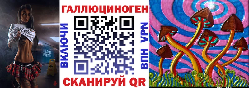 Псилоцибиновые грибы Psilocybine cubensis  Данков 